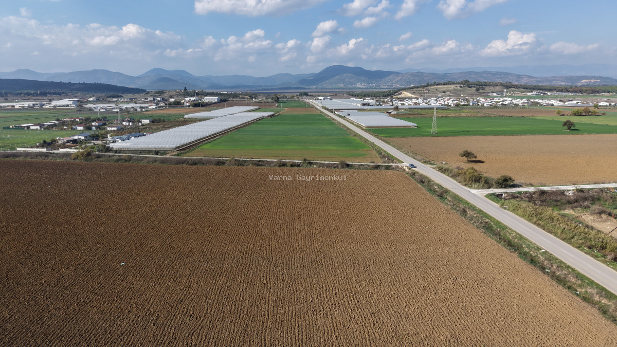 İZMİR SANCAKLIDA SATILIK TEKTAPU 4.700 M2 ANAYOLA YAKIN KÖŞE TARLA - 11