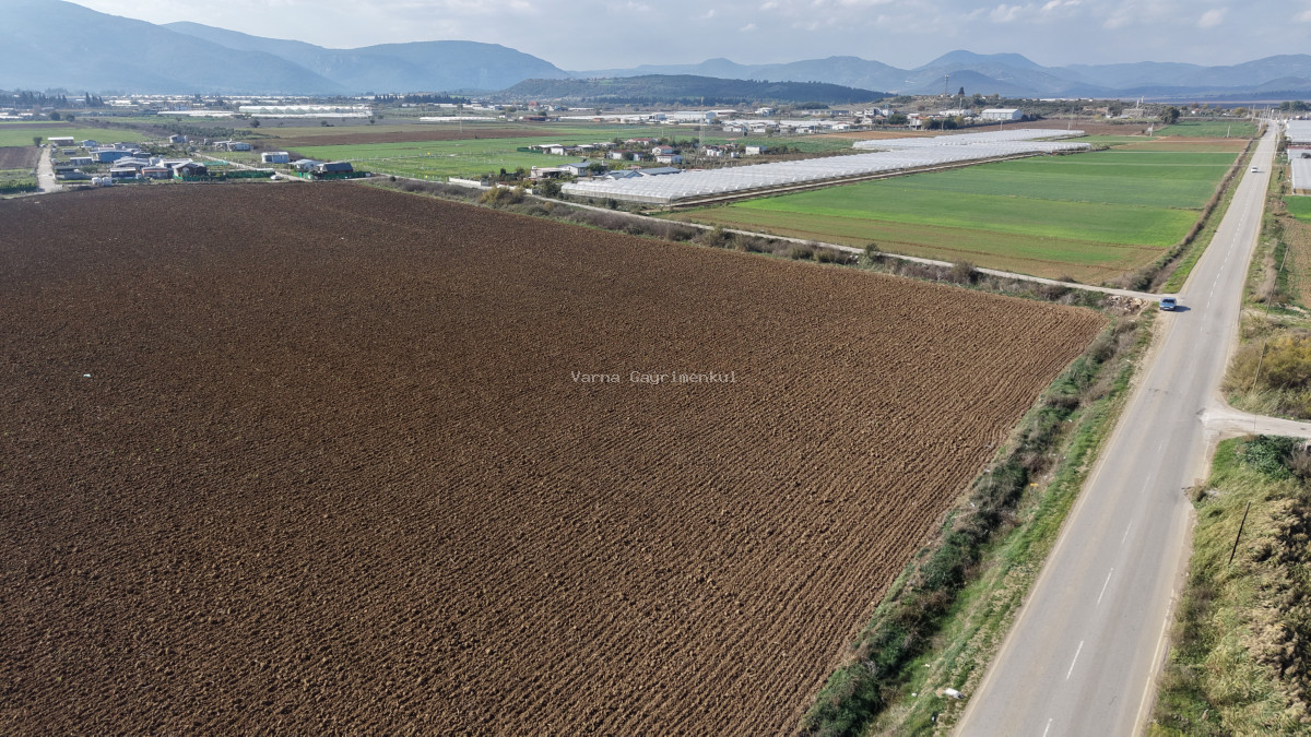 İZMİR SANCAKLIDA SATILIK TEKTAPU 4.700 M2 ANAYOLA YAKIN KÖŞE TARLA - 17