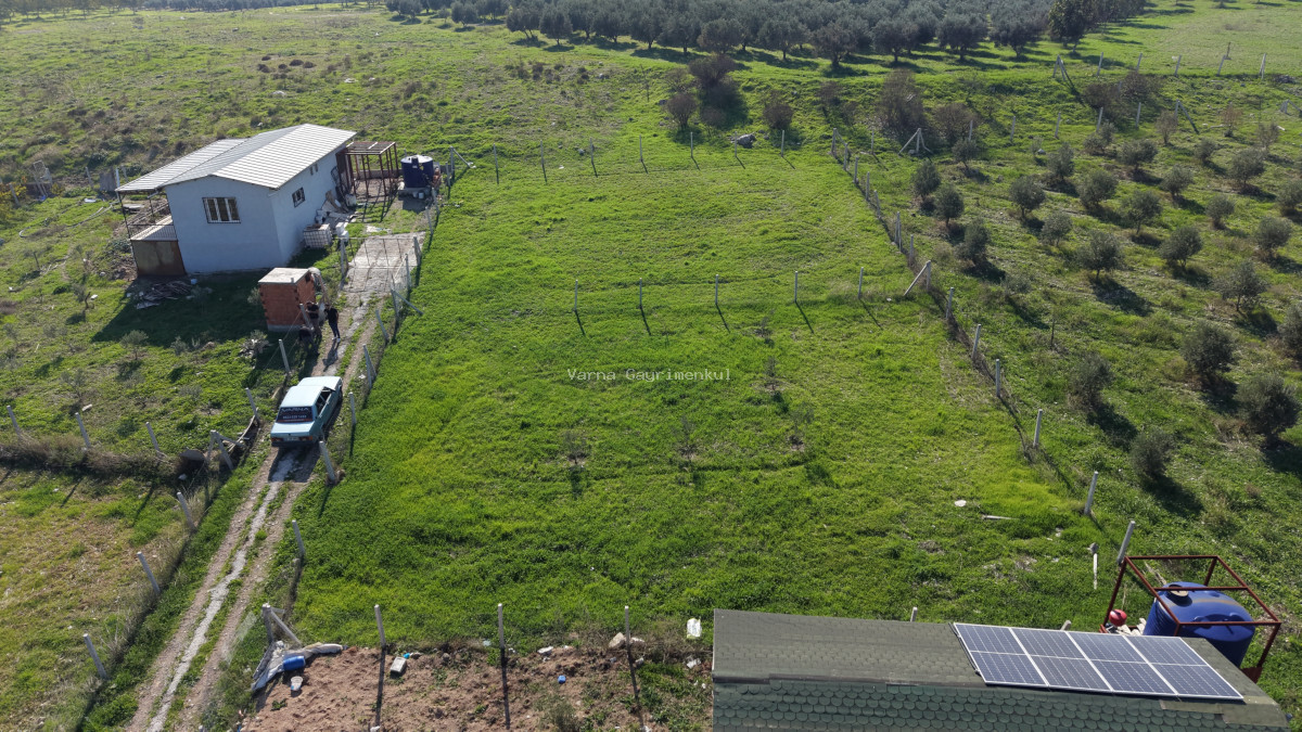 İZMİR OĞLANANASINDA SATILIK 500 M2 TAPULU ETRAFI ÇEVRİLİ MANZARALI HARİKA BAHÇE - 14