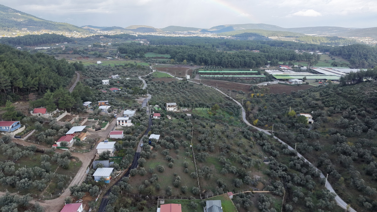 İZMİR ATAKÖYDE SATILIK 4.000 M2 TEKTAPU İÇERİSİNDE 2 EV OLAN ZEYTİNLİK