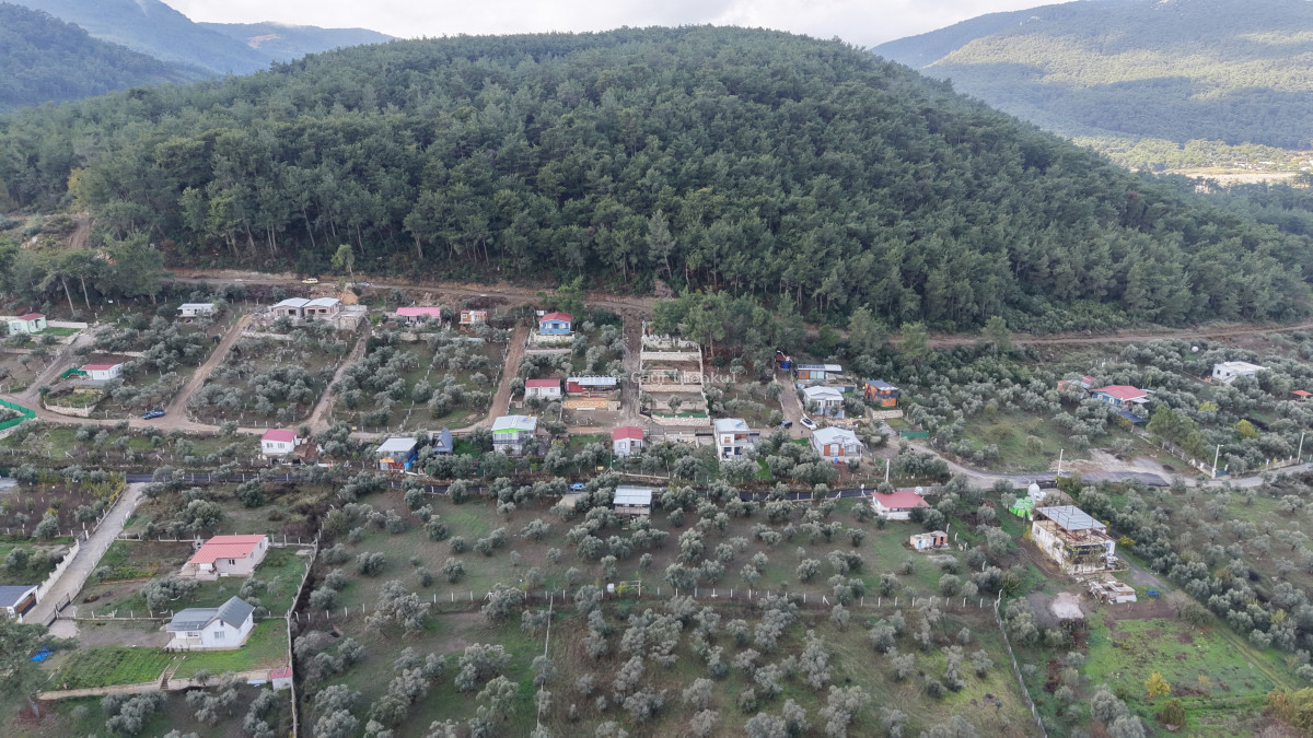 İZMİR ATAKÖYDE SATILIK 4.000 M2 TEKTAPU İÇERİSİNDE 2 EV OLAN ZEYTİNLİK - 7