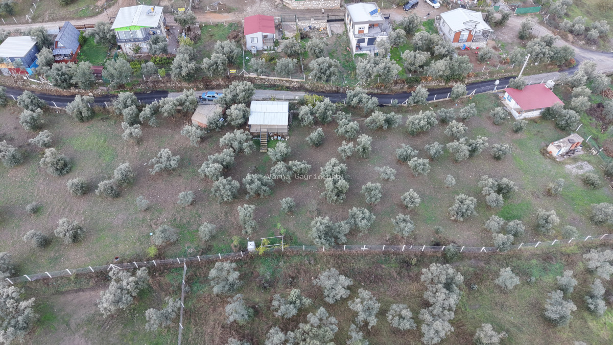 İZMİR ATAKÖYDE SATILIK 4.000 M2 TEKTAPU İÇERİSİNDE 2 EV OLAN ZEYTİNLİK - 13