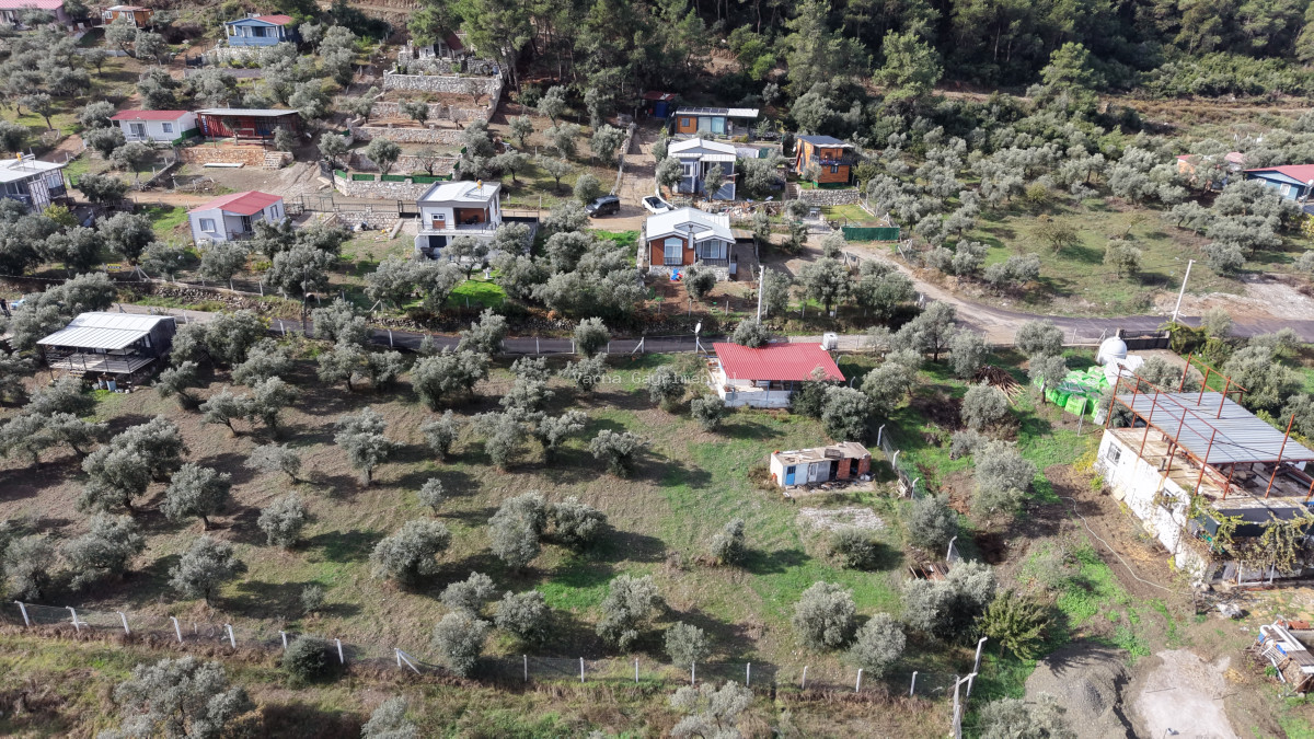 İZMİR ATAKÖYDE SATILIK 4.000 M2 TEKTAPU İÇERİSİNDE 2 EV OLAN ZEYTİNLİK - 18