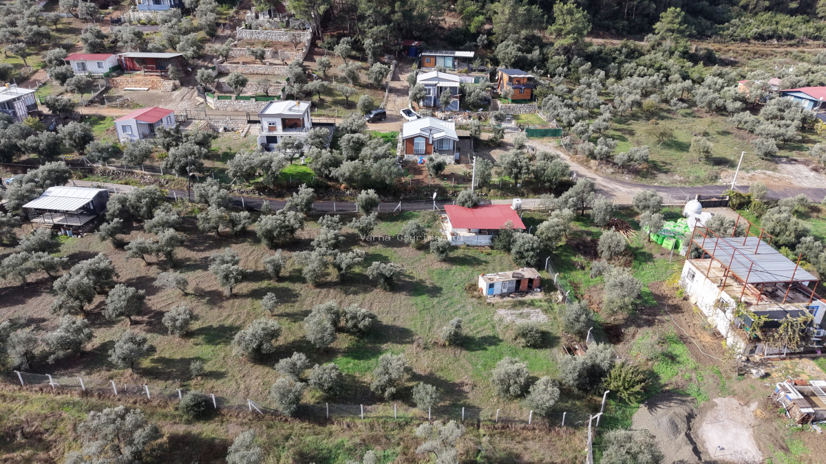İZMİR ATAKÖYDE SATILIK 4.000 M2 TEKTAPU İÇERİSİNDE 2 EV OLAN ZEYTİNLİK - 19