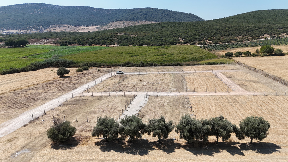 İZMİR ÇİLEMEDE SATILIK RESMİ TAPULU 290 M2 KÖYE YAKIN BAHÇELER - 13