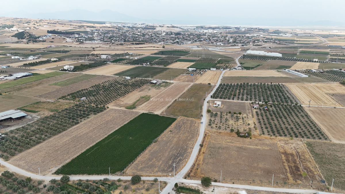 İZMİR TEKELİDE SATILIK TEKTAPU 4.050 M2 İZBANA YAKIN KÖŞE PARSEL YATIRIMLIK ARAZİ