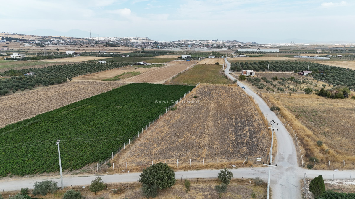 İZMİR TEKELİDE SATILIK TEKTAPU 4.050 M2 İZBANA YAKIN KÖŞE PARSEL YATIRIMLIK ARAZİ - 2