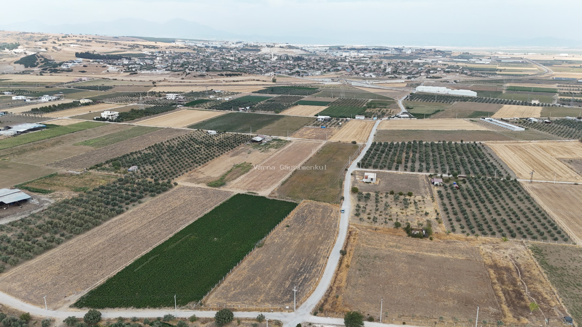 İZMİR TEKELİDE SATILIK TEKTAPU 4.050 M2 İZBANA YAKIN KÖŞE PARSEL YATIRIMLIK ARAZİ - 3