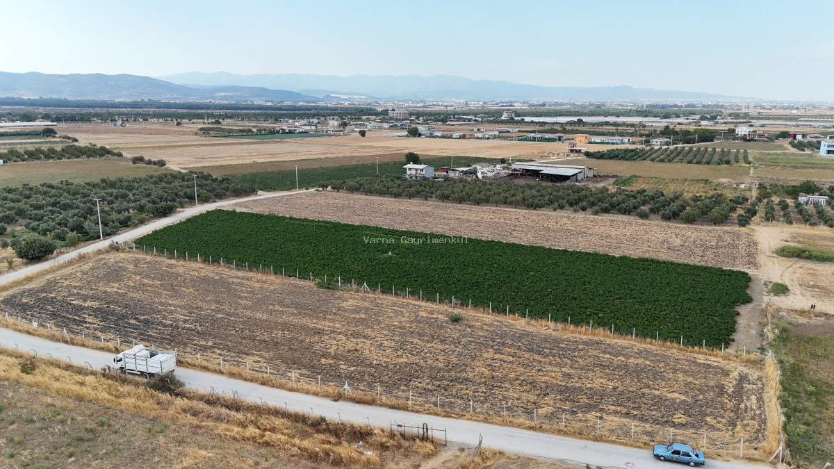 İZMİR TEKELİDE SATILIK TEKTAPU 4.050 M2 İZBANA YAKIN KÖŞE PARSEL YATIRIMLIK ARAZİ - 5