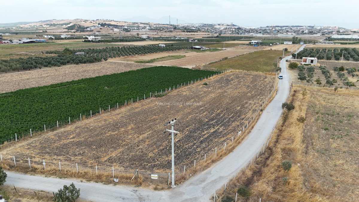 İZMİR TEKELİDE SATILIK TEKTAPU 4.050 M2 İZBANA YAKIN KÖŞE PARSEL YATIRIMLIK ARAZİ - 10