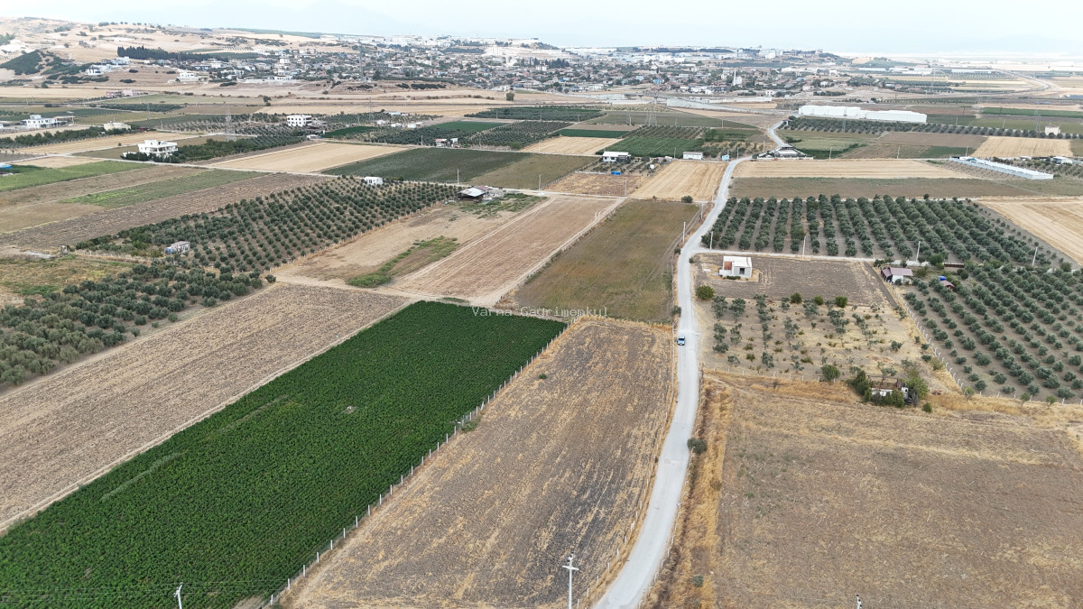 İZMİR TEKELİDE SATILIK TEKTAPU 4.050 M2 İZBANA YAKIN KÖŞE PARSEL YATIRIMLIK ARAZİ - 11