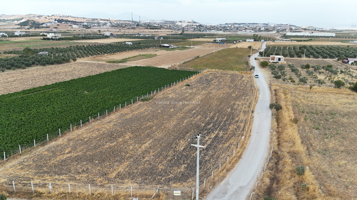 İZMİR TEKELİDE SATILIK TEKTAPU 4.050 M2 İZBANA YAKIN KÖŞE PARSEL YATIRIMLIK ARAZİ - 12