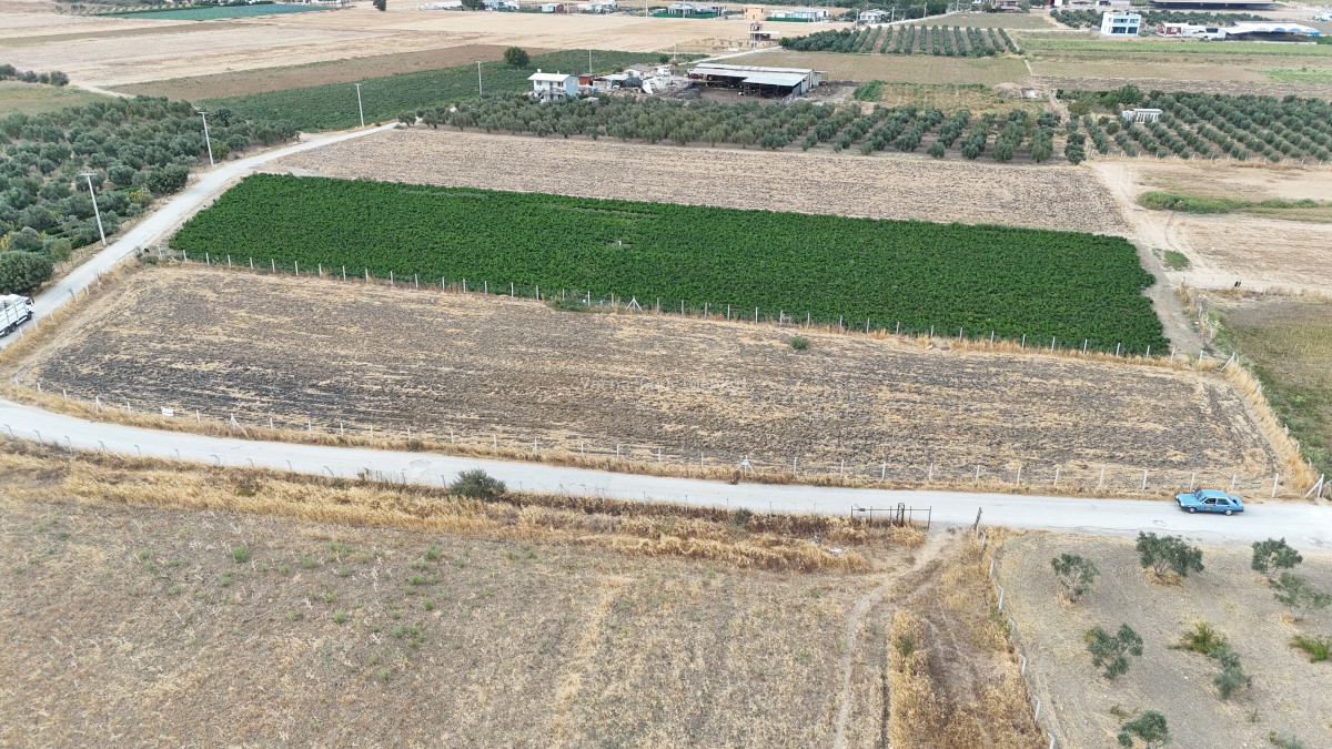 İZMİR TEKELİDE SATILIK TEKTAPU 4.050 M2 İZBANA YAKIN KÖŞE PARSEL YATIRIMLIK ARAZİ - 15