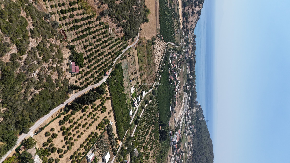 AHMETBEYLİDE SATILIK TEKTAPU 10.400 M2 SAHİLE YAKIN ÇİFTLİK VE BAHÇE