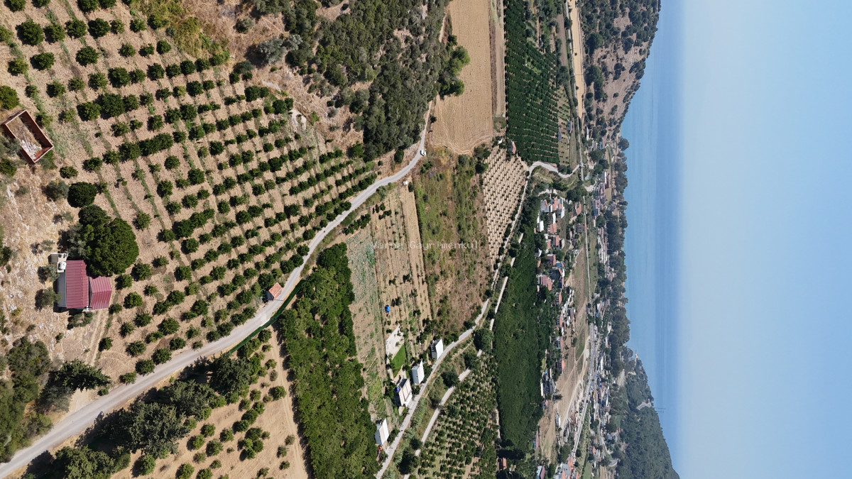 AHMETBEYLİDE SATILIK TEKTAPU 10.400 M2 SAHİLE YAKIN ÇİFTLİK VE BAHÇE - 3