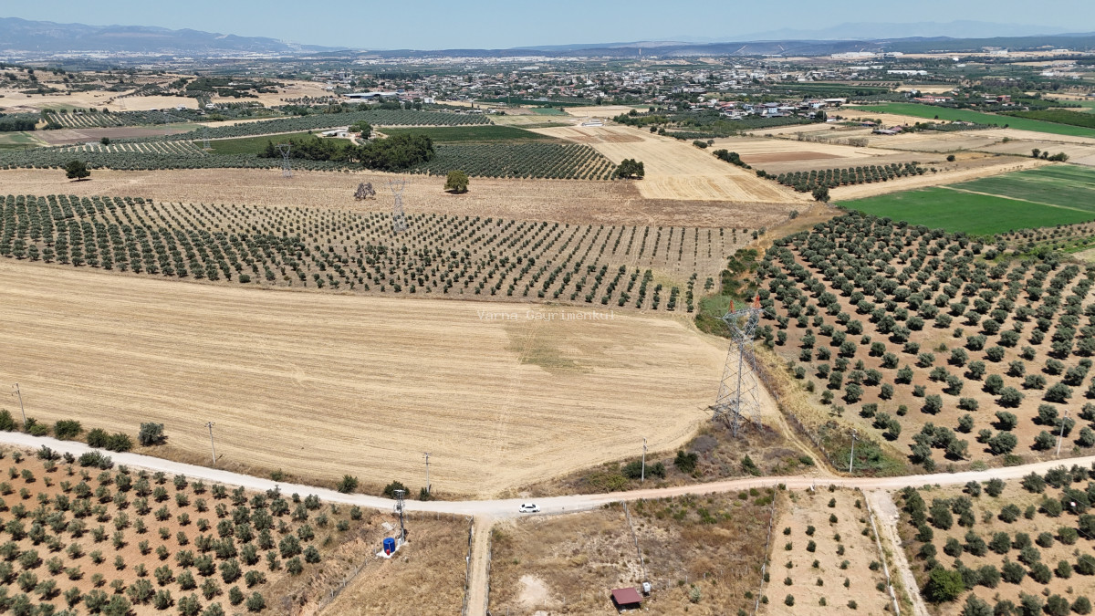 İZMİR YENİ BULGURCADA SATILIK 910 M2 KÖYE YAKIN TAPULU KÖŞE PARSEL - 7