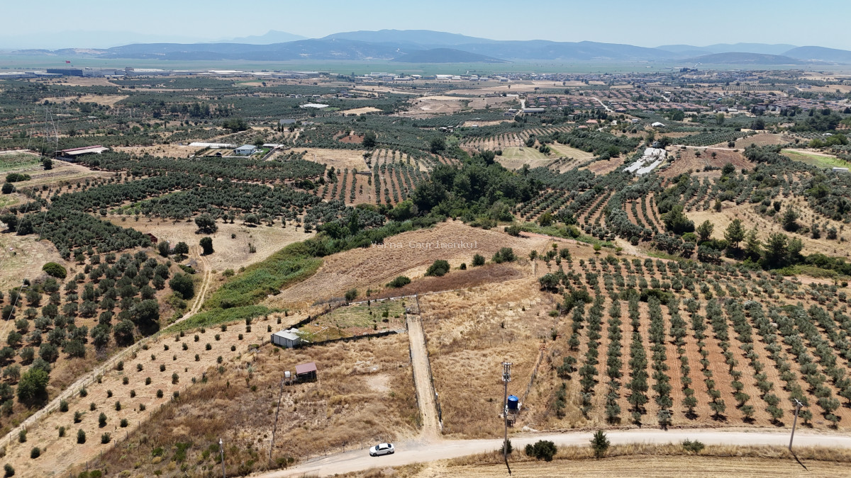 İZMİR YENİ BULGURCADA SATILIK 910 M2 KÖYE YAKIN TAPULU KÖŞE PARSEL - 8