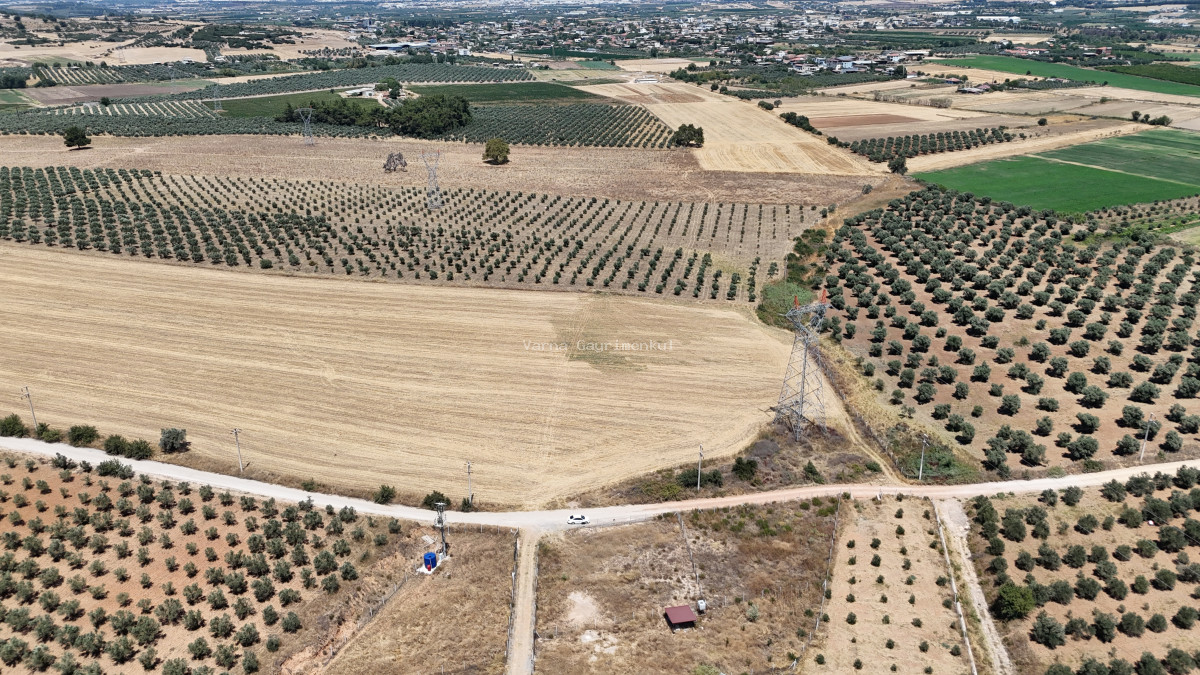 İZMİR YENİ BULGURCADA SATILIK 910 M2 KÖYE YAKIN TAPULU KÖŞE PARSEL - 9