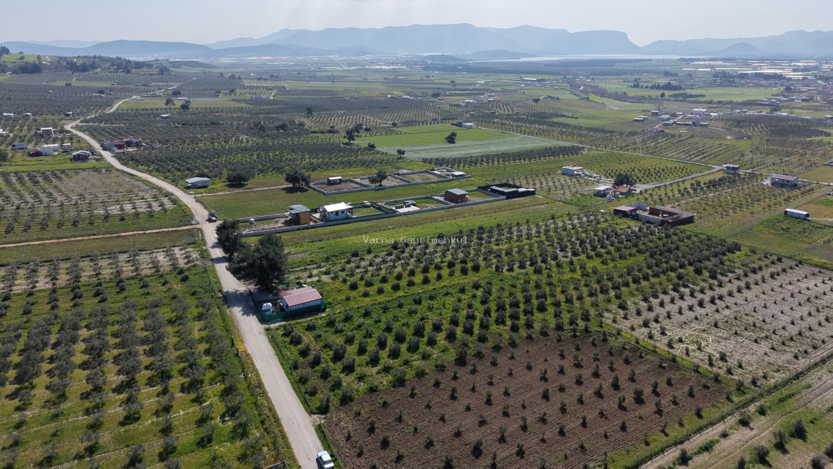 İZMİR TEKELİDE SATILIK TAPULU 170 M2 ASFALT CEPHE MANZARALI ZEYTİNLİ BAHÇELER - 2