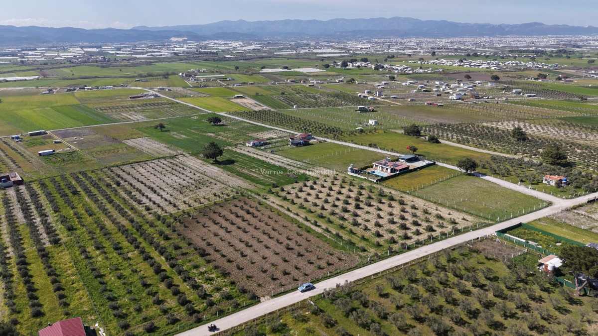 İZMİR TEKELİDE SATILIK TAPULU 170 M2 ASFALT CEPHE MANZARALI ZEYTİNLİ BAHÇELER - 4