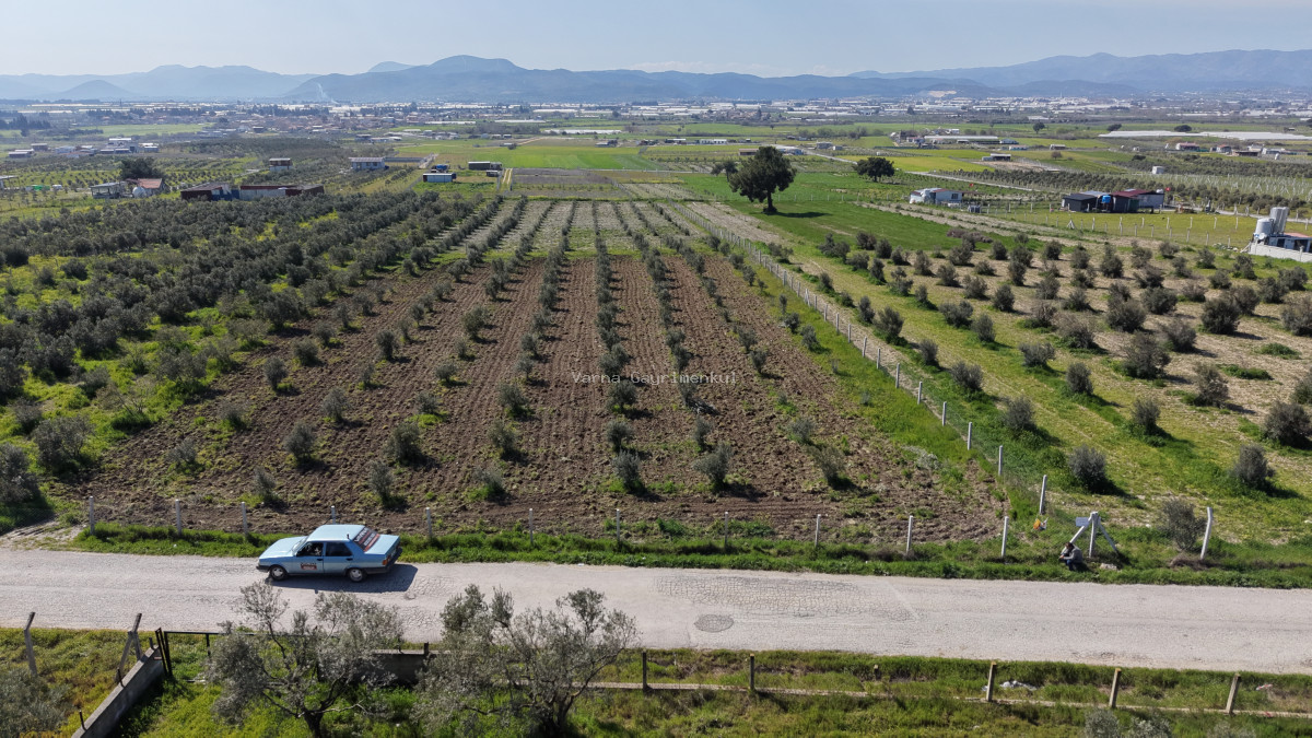 İZMİR TEKELİDE SATILIK TAPULU 170 M2 ASFALT CEPHE MANZARALI ZEYTİNLİ BAHÇELER - 6