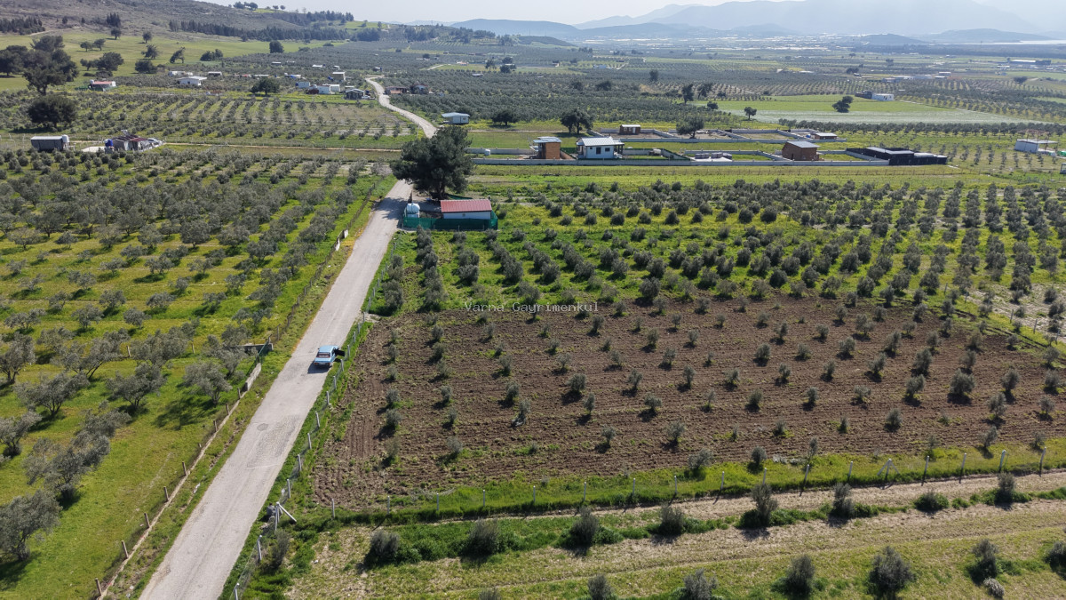 İZMİR TEKELİDE SATILIK TAPULU 170 M2 ASFALT CEPHE MANZARALI ZEYTİNLİ BAHÇELER - 9