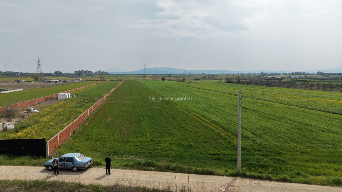 İZMİR OĞLANANASI SATILIK TEKTAPU 11.385 M2 YOL CEPHELİ KELEPİR FİYATA ARAZİ