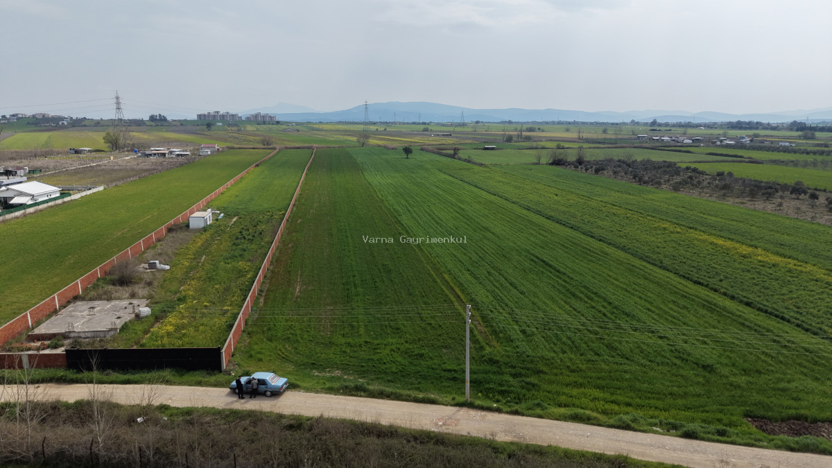 İZMİR OĞLANANASI SATILIK TEKTAPU 11.385 M2 YOL CEPHELİ KELEPİR FİYATA ARAZİ - 2