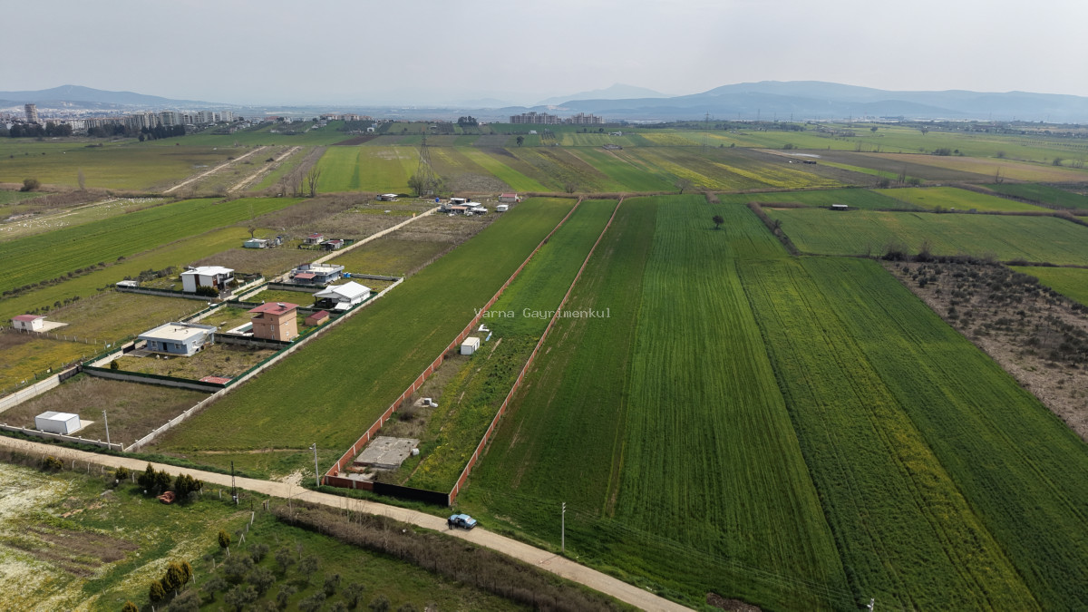 İZMİR OĞLANANASI SATILIK TEKTAPU 11.385 M2 YOL CEPHELİ KELEPİR FİYATA ARAZİ - 3