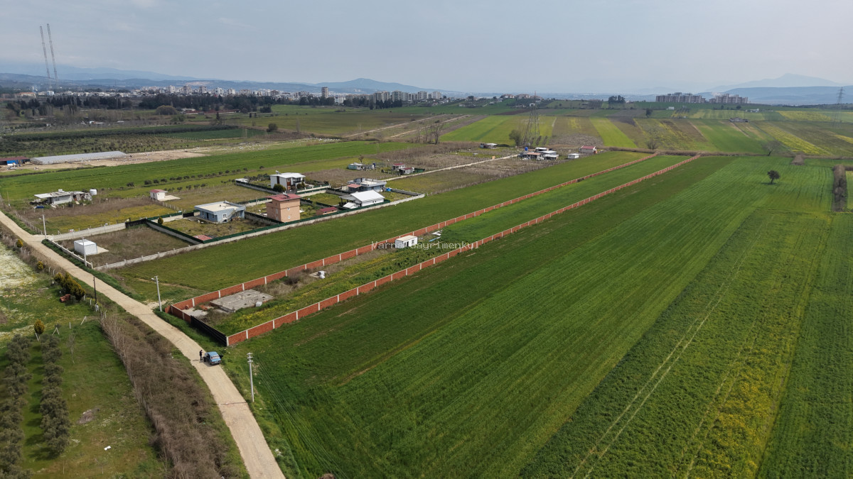 İZMİR OĞLANANASI SATILIK TEKTAPU 11.385 M2 YOL CEPHELİ KELEPİR FİYATA ARAZİ - 4