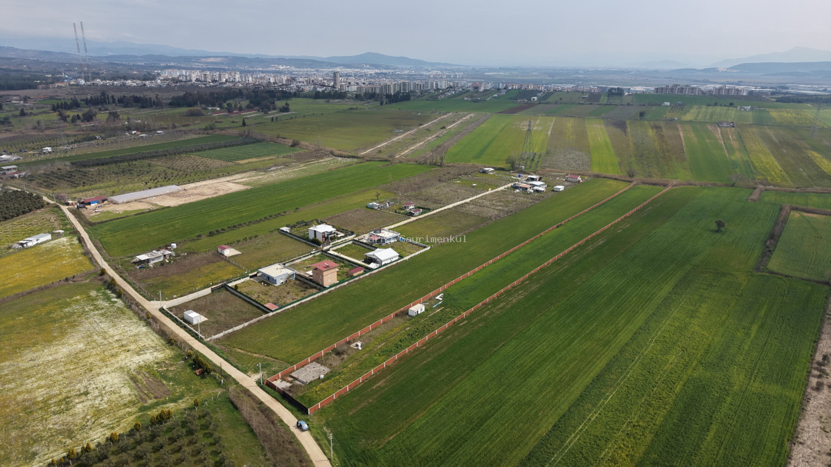İZMİR OĞLANANASI SATILIK TEKTAPU 11.385 M2 YOL CEPHELİ KELEPİR FİYATA ARAZİ - 5