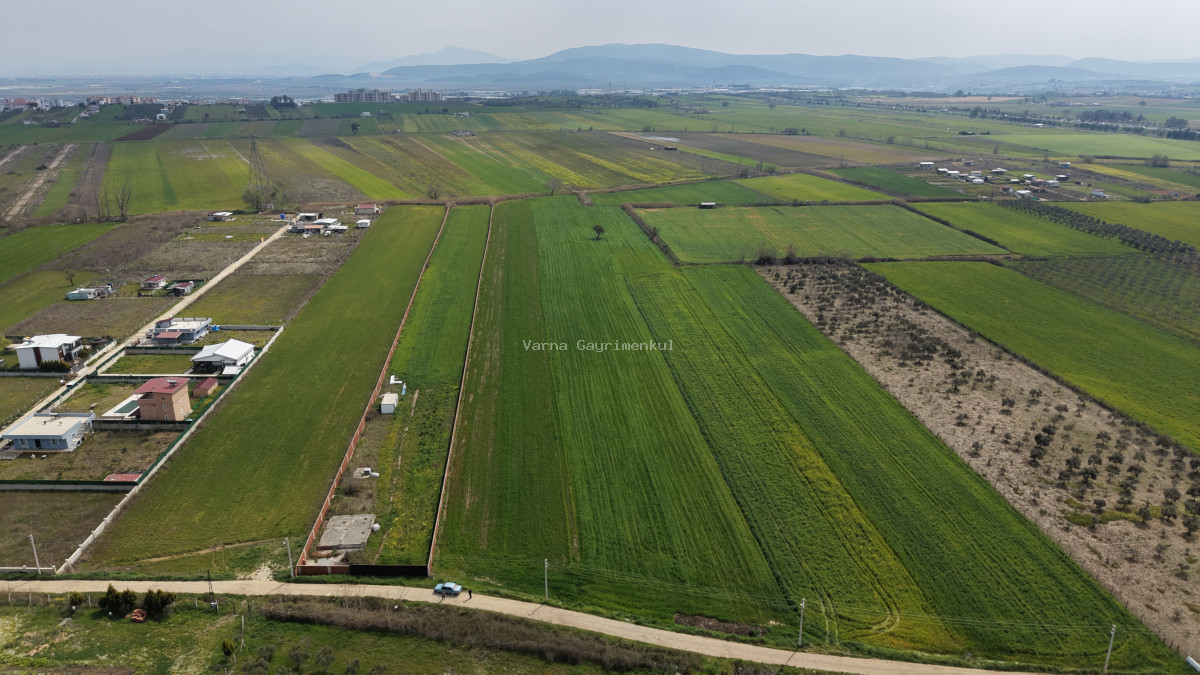 İZMİR OĞLANANASI SATILIK TEKTAPU 11.385 M2 YOL CEPHELİ KELEPİR FİYATA ARAZİ - 6