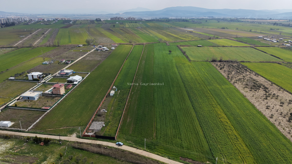 İZMİR OĞLANANASI SATILIK TEKTAPU 11.385 M2 YOL CEPHELİ KELEPİR FİYATA ARAZİ - 7