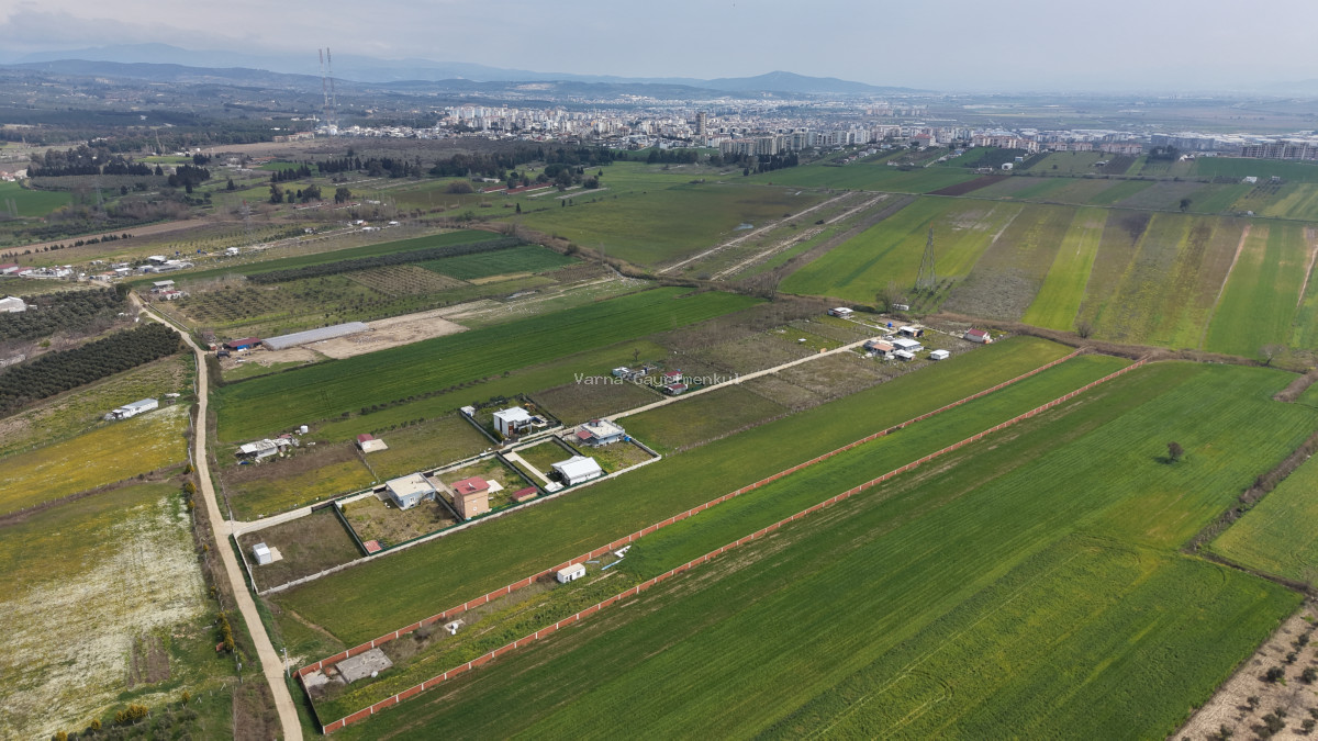 İZMİR OĞLANANASI SATILIK TEKTAPU 11.385 M2 YOL CEPHELİ KELEPİR FİYATA ARAZİ - 8