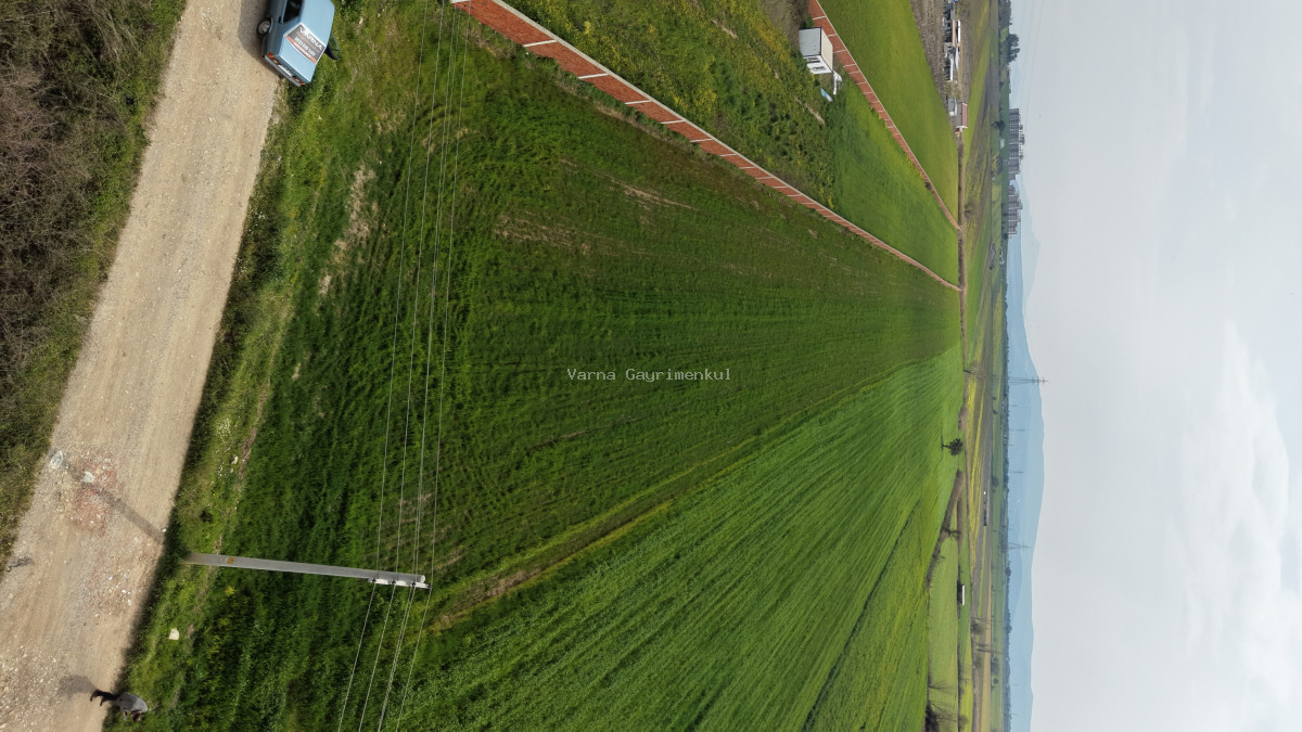 İZMİR OĞLANANASI SATILIK TEKTAPU 11.385 M2 YOL CEPHELİ KELEPİR FİYATA ARAZİ - 11