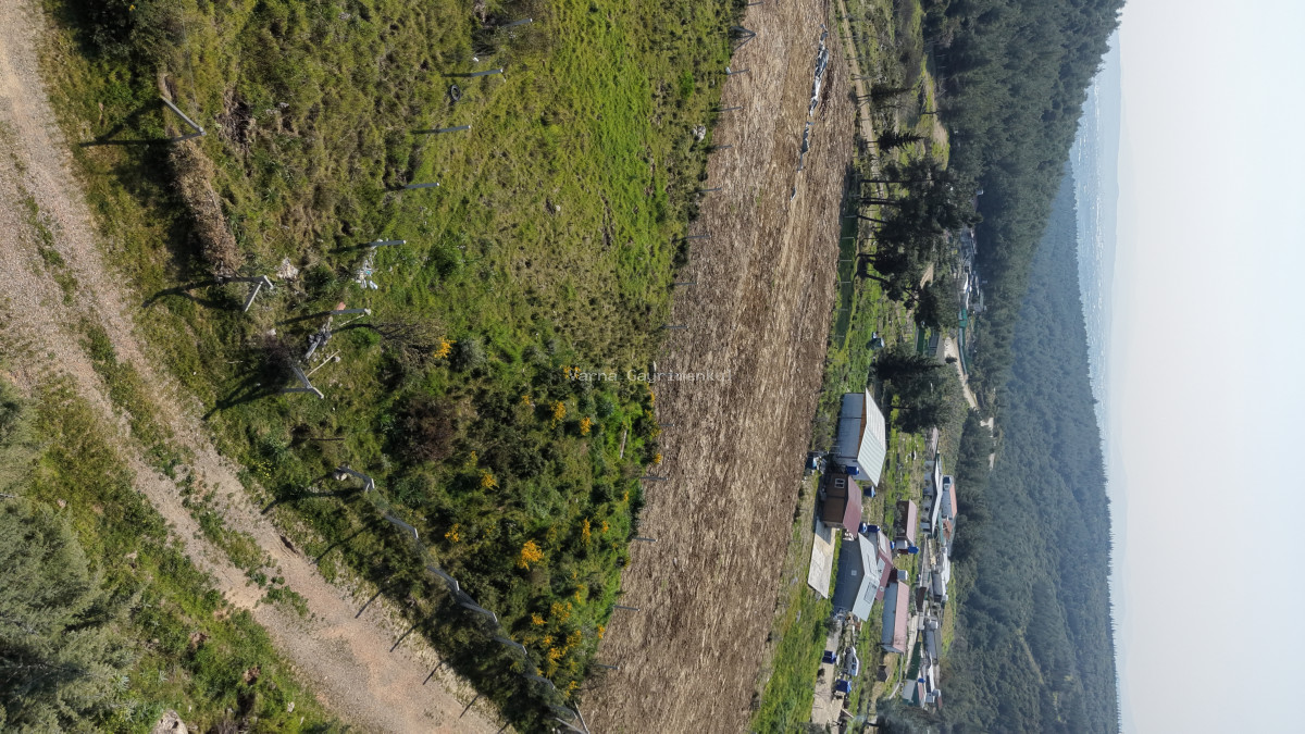 İZMİR GÖRECEDE SATILIK TAPULU 756 M2 HAVAALANI VE MERKEZE ÇOK YAKIN BAHÇE - 12