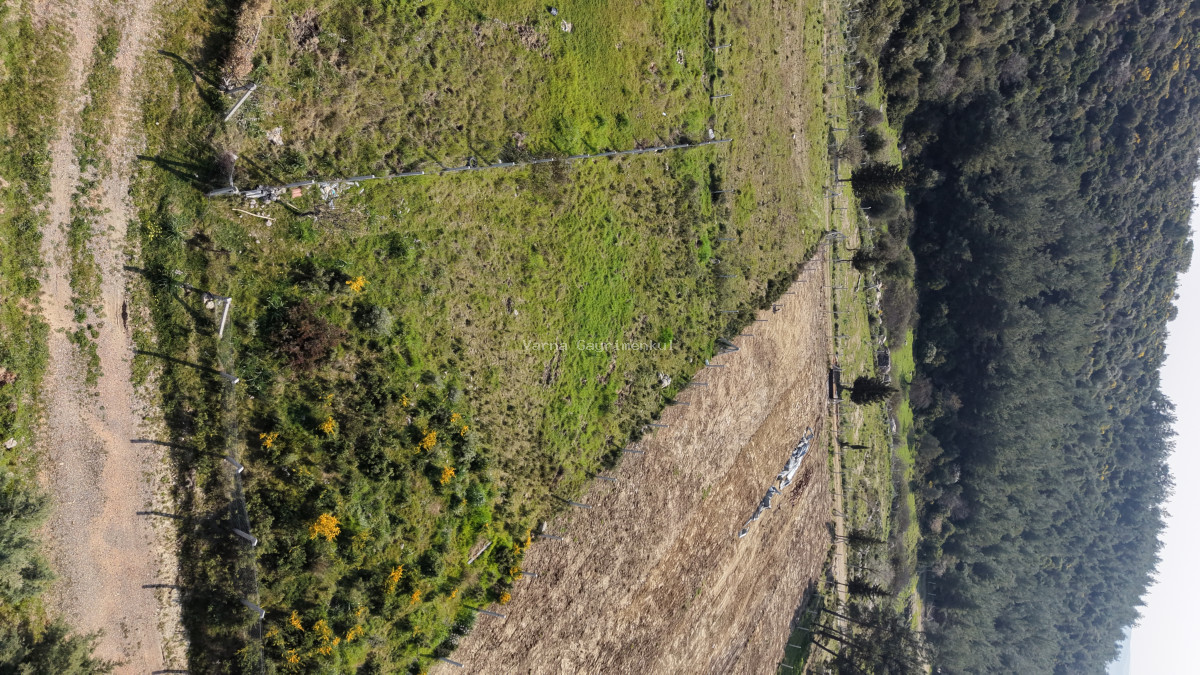 İZMİR GÖRECEDE SATILIK TAPULU 756 M2 HAVAALANI VE MERKEZE ÇOK YAKIN BAHÇE - 18