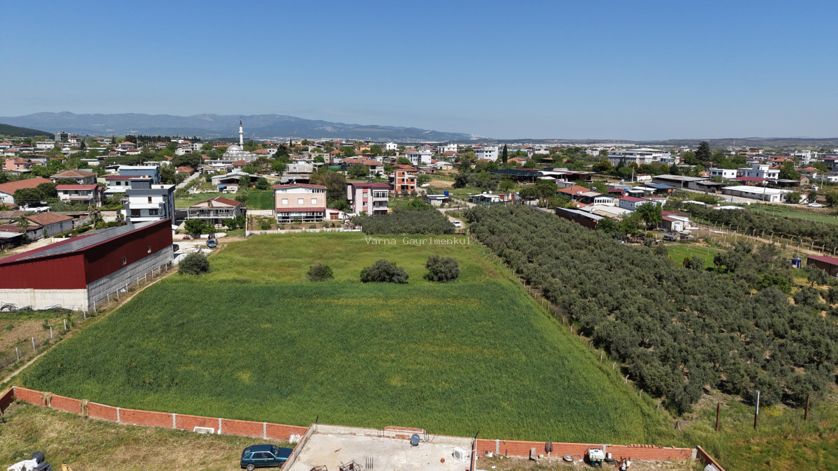 OĞLANANASINDA SATILIK TEKTAPU 2.950 M2 YATIRIMLIK İMAR İÇİNDE BAHÇE
