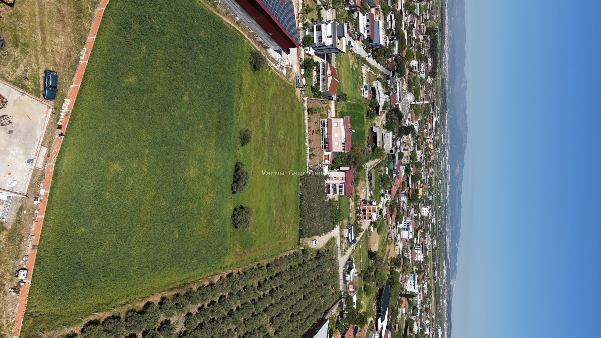 OĞLANANASINDA SATILIK TEKTAPU 2.950 M2 YATIRIMLIK İMAR İÇİNDE BAHÇE - 3