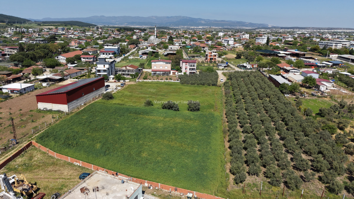 OĞLANANASINDA SATILIK TEKTAPU 2.950 M2 YATIRIMLIK İMAR İÇİNDE BAHÇE - 11