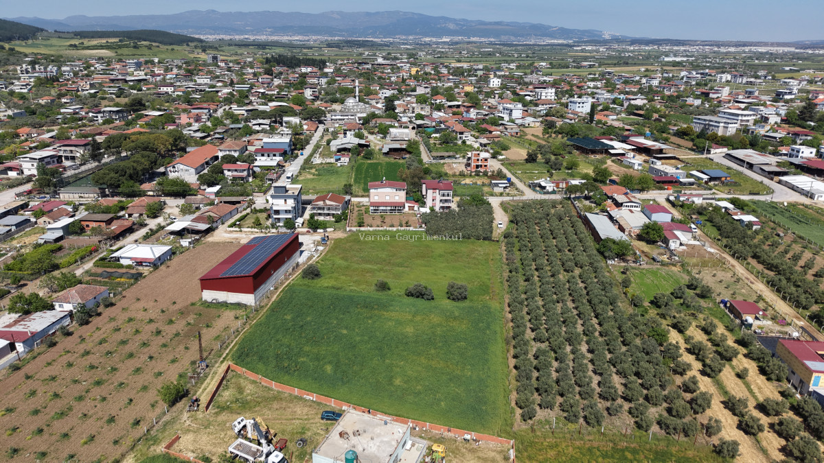 OĞLANANASINDA SATILIK TEKTAPU 2.950 M2 YATIRIMLIK İMAR İÇİNDE BAHÇE - 14