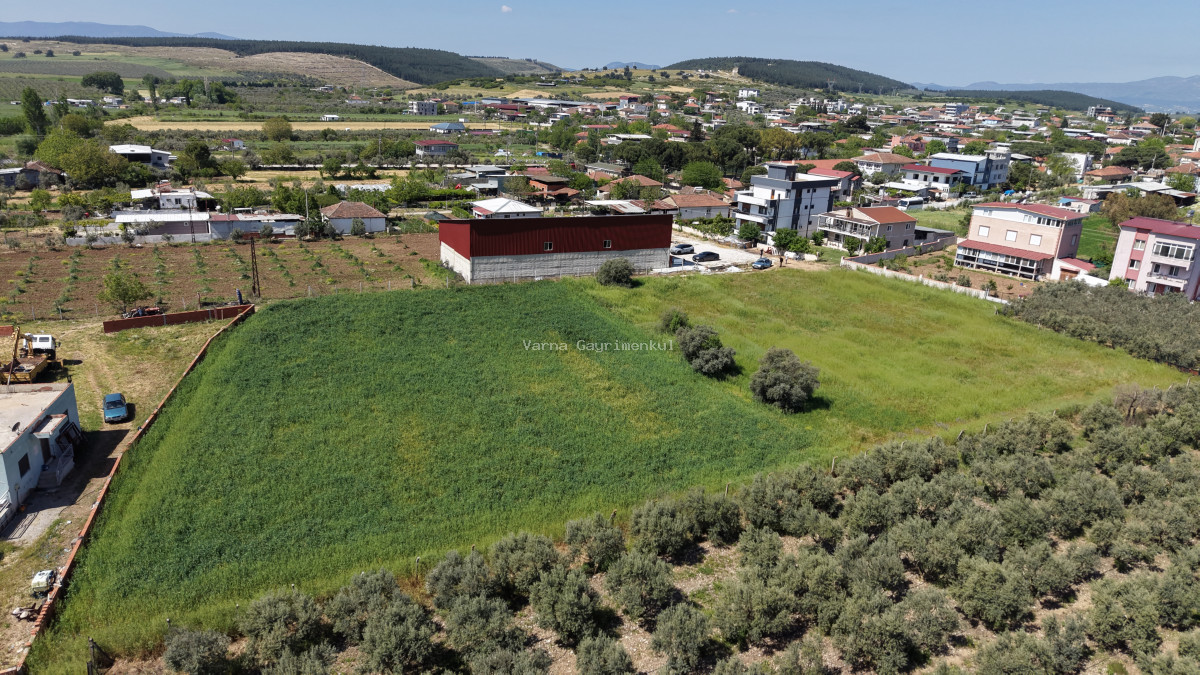 OĞLANANASINDA SATILIK TEKTAPU 2.950 M2 YATIRIMLIK İMAR İÇİNDE BAHÇE - 16
