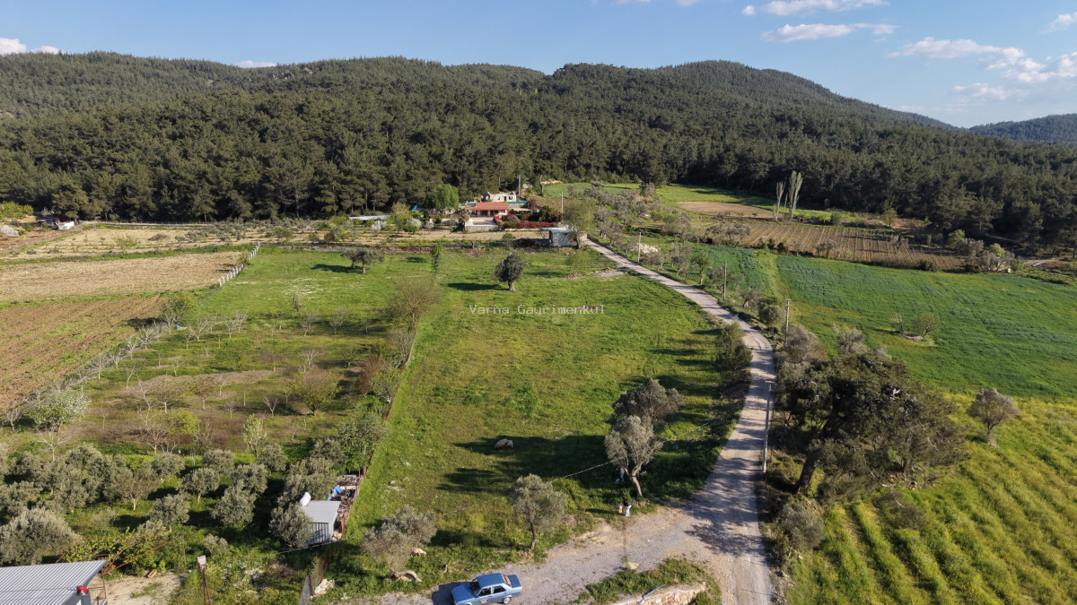 YENİKÖYDE SATILIK TEKTAPU 6.775 M2 MUHTEŞEM MANZARALI BAHÇE - 4