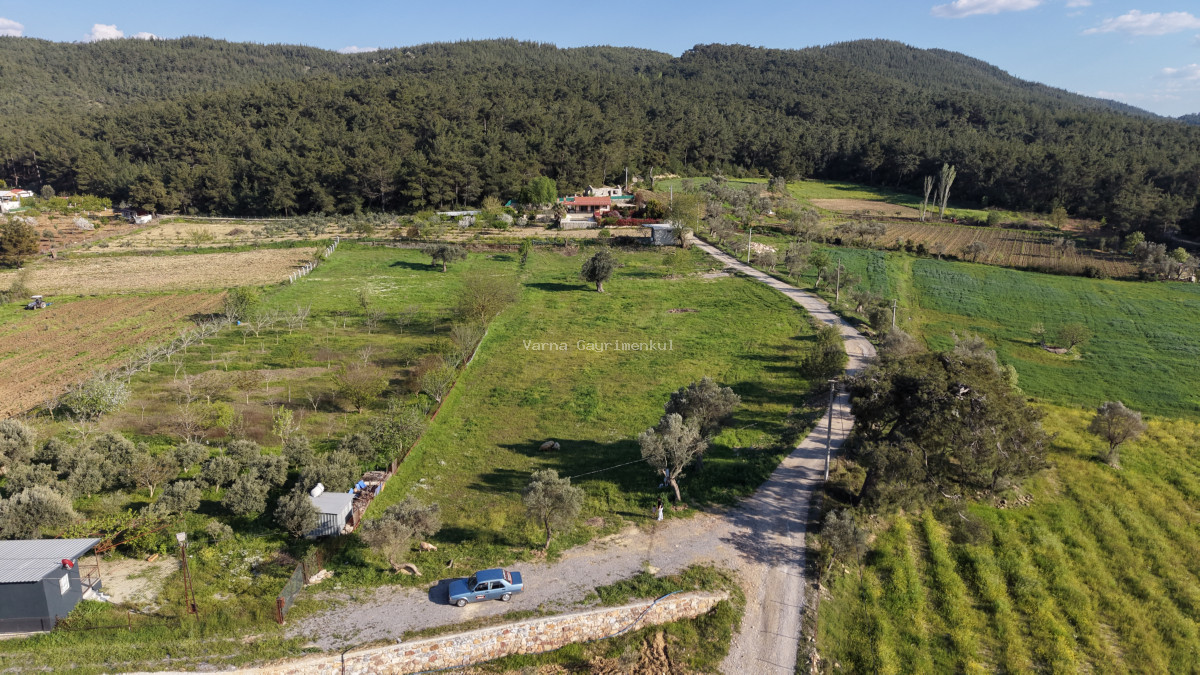 YENİKÖYDE SATILIK TEKTAPU 6.775 M2 MUHTEŞEM MANZARALI BAHÇE - 9