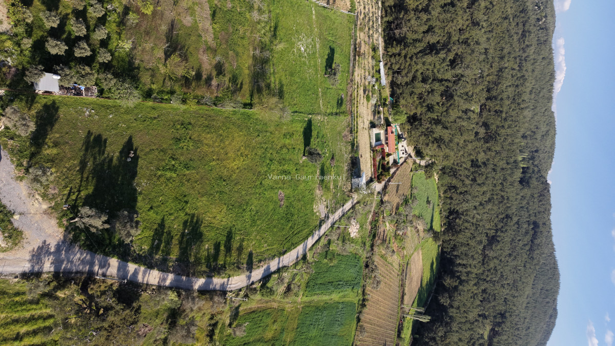 YENİKÖYDE SATILIK TEKTAPU 6.775 M2 MUHTEŞEM MANZARALI BAHÇE - 11