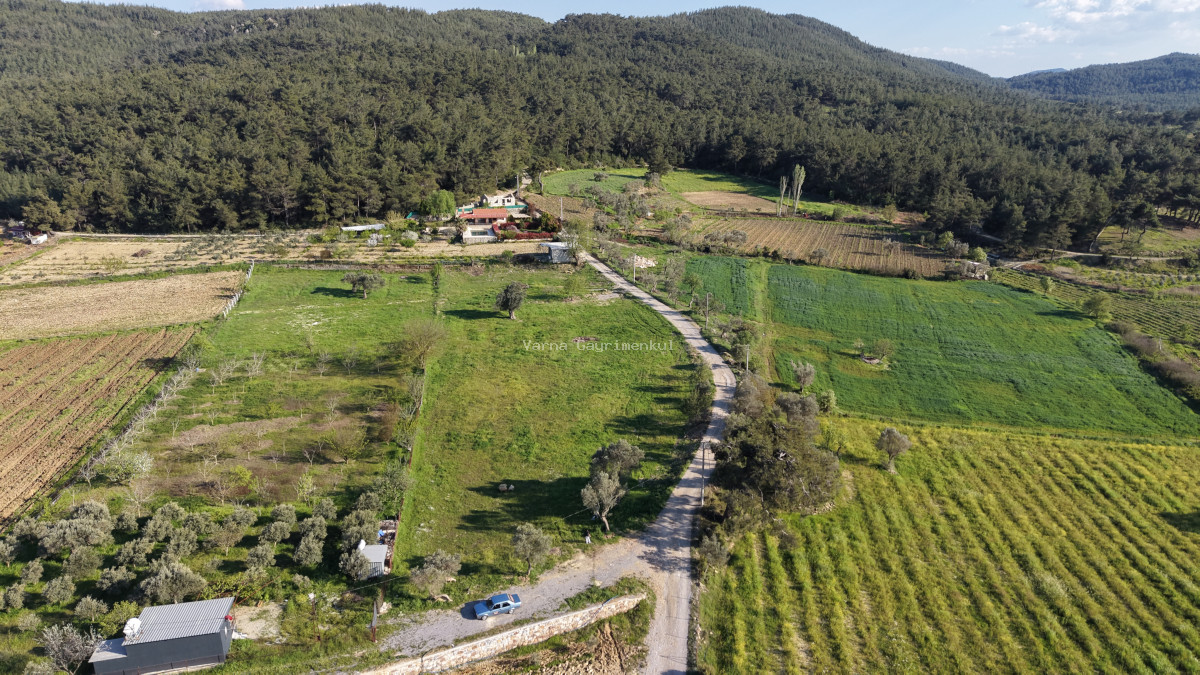 YENİKÖYDE SATILIK TEKTAPU 6.775 M2 MUHTEŞEM MANZARALI BAHÇE - 15