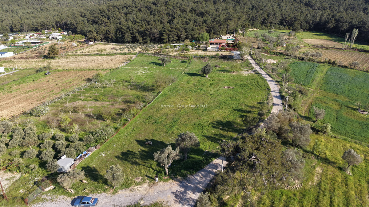YENİKÖYDE SATILIK TEKTAPU 6.775 M2 MUHTEŞEM MANZARALI BAHÇE - 16