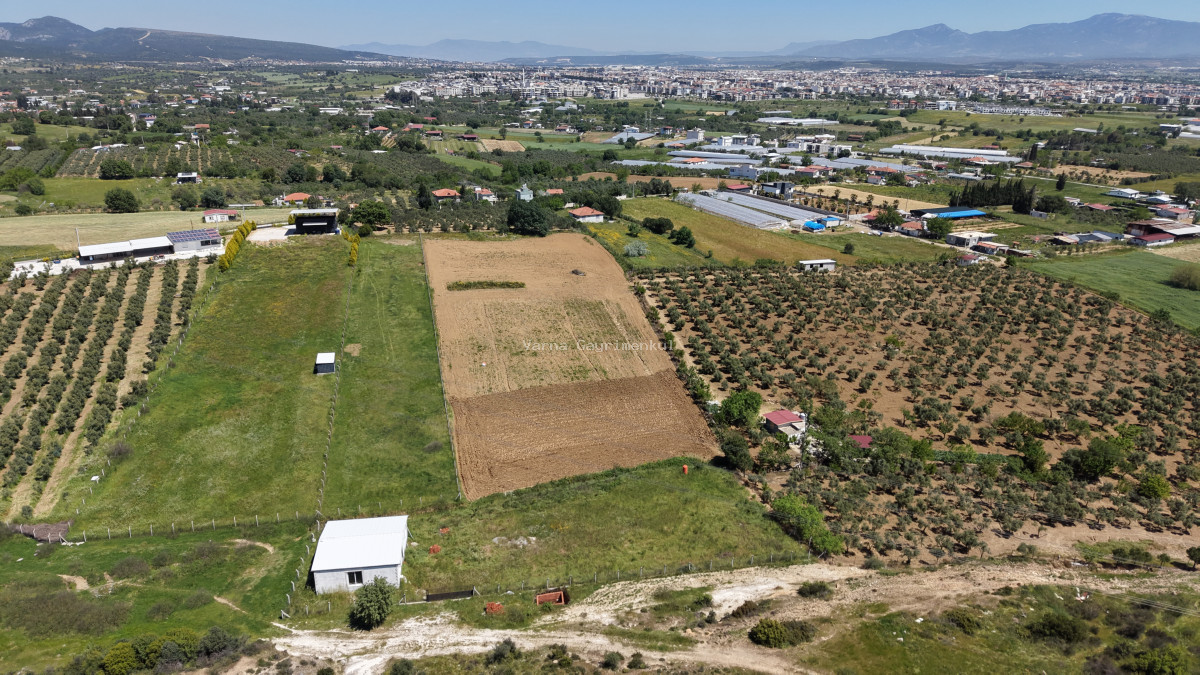 İZMİR DEREKÖYDE SATILIK TEKTAPU 1.740 M2 MERKEZE YAKIN ETRAFI ÇEVRİLİ 80 M2 EV - 13