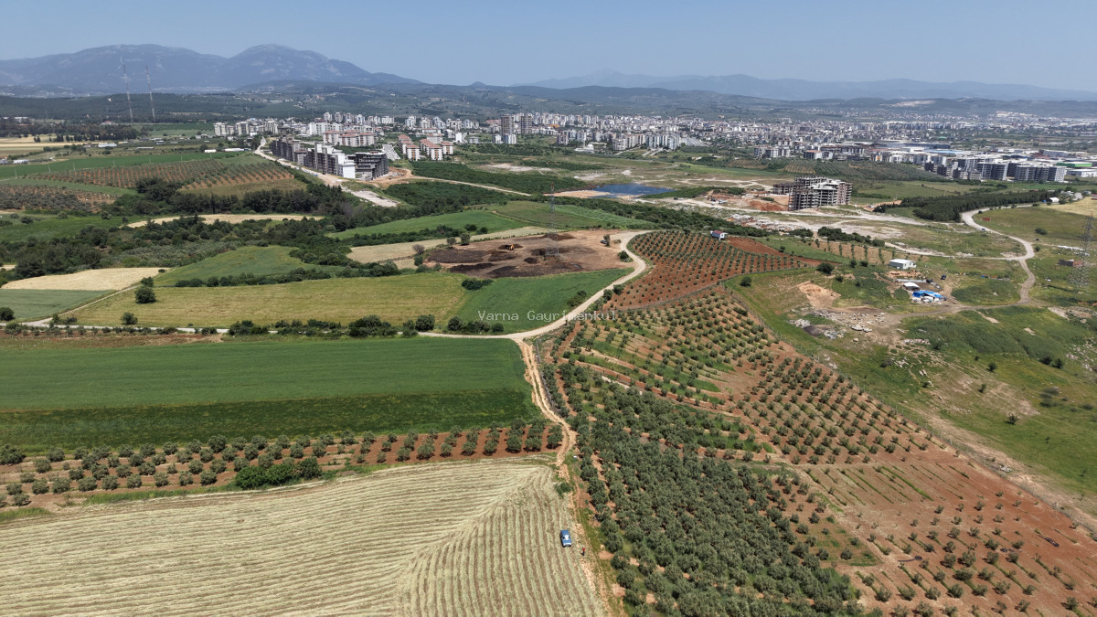 OĞLANANASINDA SATILIK TEKTAPU 840 M2 İMARIN DİBİNDE YATIRIMLIK BAHÇE - 6