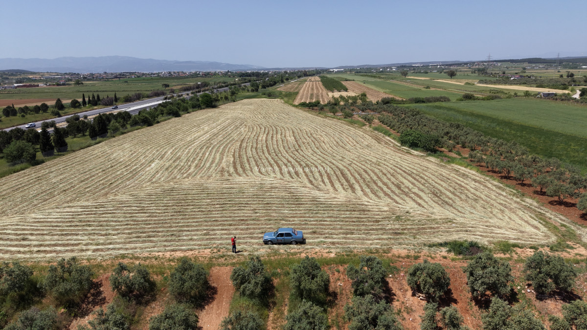 OĞLANANASINDA SATILIK TEKTAPU 840 M2 İMARIN DİBİNDE YATIRIMLIK BAHÇE - 9